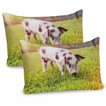 Чехлы для подушек ABAKUHAUS Farm Animal Animal, набор из 2 шт., фотография красивого поросенка с пятнами, идущего по траве, размытый фон, чехол для подушки с декоративным принтом, 80 x 40 см, многоцветный