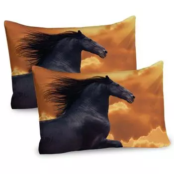 Чехлы для подушек ABAKUHAUS Horse, набор из 2 шт., портрет скачущей фризской лошади, солнце излучает интенсивность, тема Honor Grace, чехол для подушки с декоративным принтом, 80 x 40 см, черный оранжевый