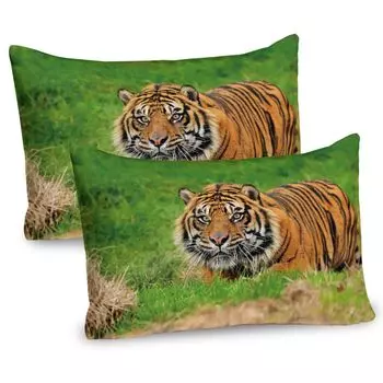Чехлы для подушек ABAKUHAUS Tiger, набор из 2 шт., Суматранская кошка прячется в засаде, преследуя добычу за мгновение до нападения, Чехол для подушки с декоративным принтом, 80x40 см, оранжево-зеленый