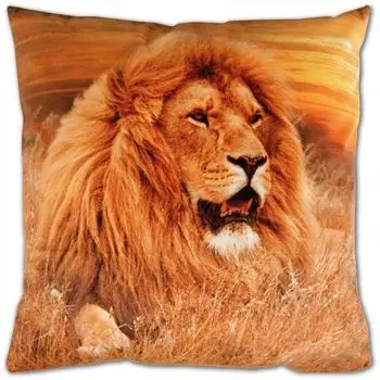 Чехлы на подушки с фотопринтом, лев 40х40см, упаковка 2 шт Bestlivings