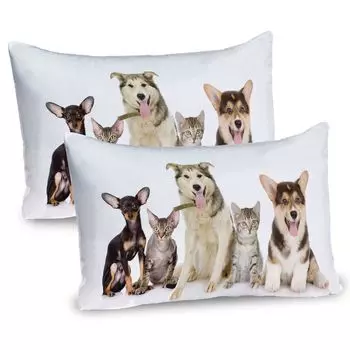 Чехлы на подушку ABAKUHAUS Corgi, набор из 2 шт., домашние животные, кошки и собаки, фото четвероногих друзей, чехол для подушки с декоративным принтом, 80 x 40 см, многоцветный