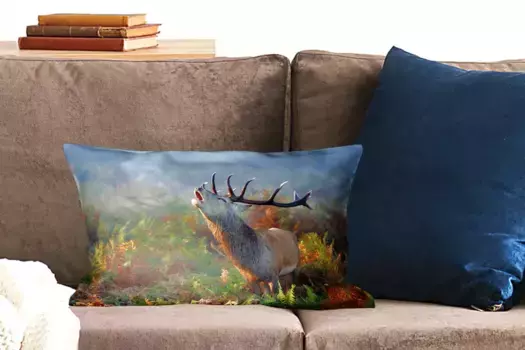 Чехол для декоративной подушки MuchoWow, цвет Bunt