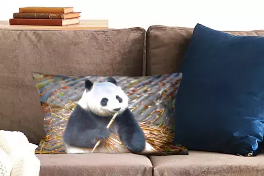 Чехол для декоративной подушки MuchoWow, цвет Bunt