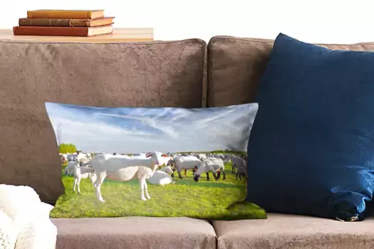 Чехол для декоративной подушки MuchoWow, цвет Bunt