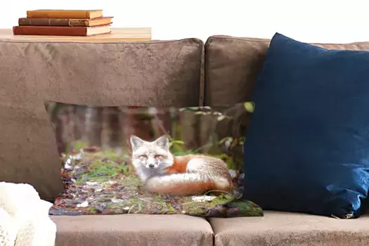 Чехол для декоративной подушки MuchoWow, цвет Bunt