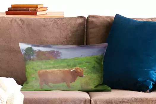 Чехол для декоративной подушки MuchoWow, цвет Bunt