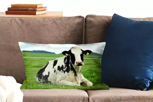 Чехол для декоративной подушки MuchoWow, цвет Bunt