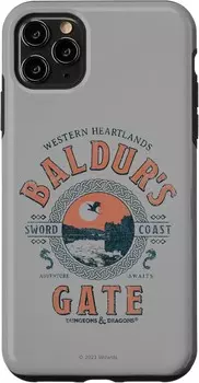 Чехол для iPhone 11 Pro Max Dungeons & Dragons Adventure Baldur's Gat