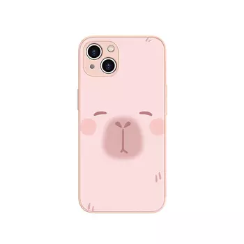 Чехол для телефона MSMF Us 10 Cents Msmf, DWFQBL9355-Sand pink