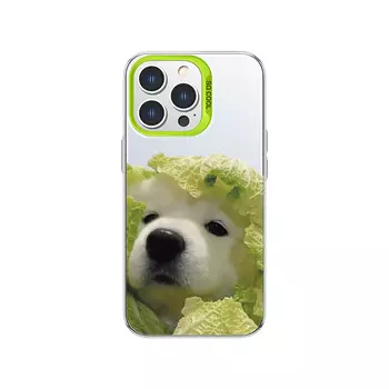 Чехол для телефона MSMF Us 10 Cents Msmf, DWFQCY150-Color silver white green box