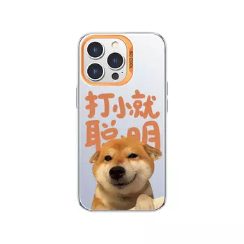 Чехол для телефона MSMF Us 10 Cents Msmf, DWFQCY260-Color silver white orange box