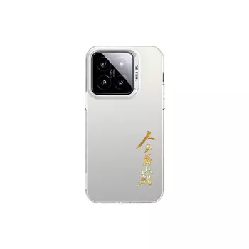 Чехол для телефона MSMF Us 10 Cents Msmf, DWKJCY1516 - Colored silvery-white