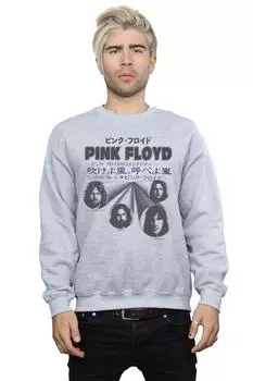 Чехол для толстовки Pink Floyd, серый