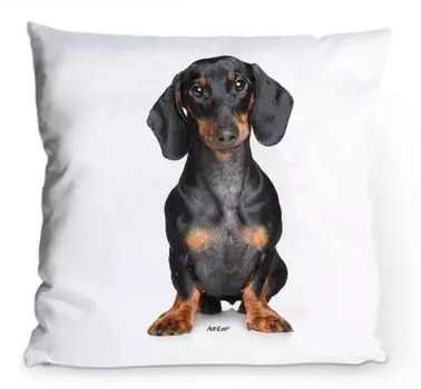 Чехол на подушку 40х40см - Такса - Короткошерстный портрет собаки Украшение чехла AdriLeo