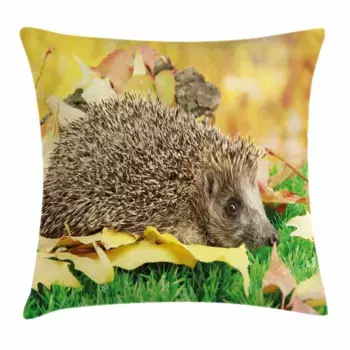 Чехол на подушку Abakuhaus