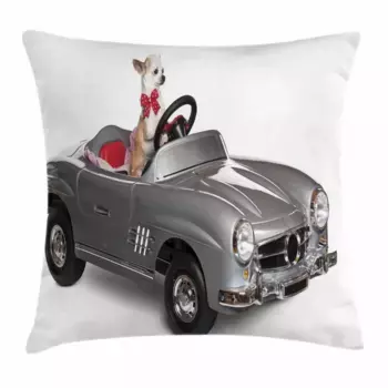 Чехол на подушку Abakuhaus