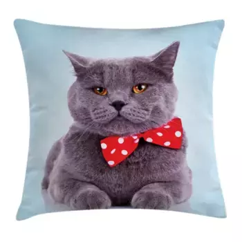 Чехол на подушку Abakuhaus, белый