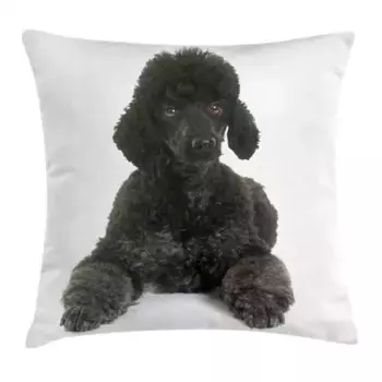 Чехол на подушку Abakuhaus, белый