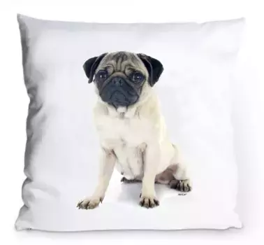 Чехол на подушку AdriLeo, бежевый