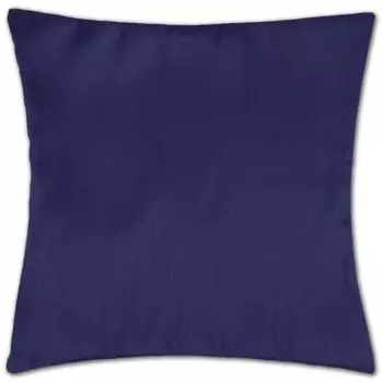 Чехол на подушку Алессия (50х50см) Чехол на подушку декоративный чехол с наполнителем, цвет: синий Bestlivings