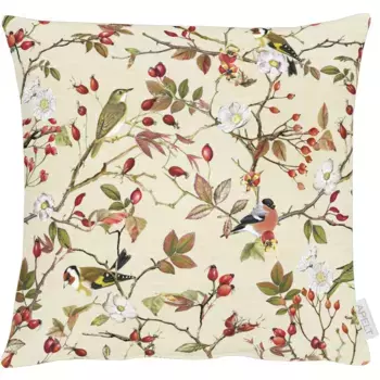 Чехол на подушку АПЭЛТ «5603», (1 шт.) Apelt, бежевый/красный