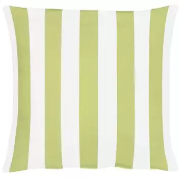 Чехол на подушку АПЭЛТ "Делфи", (1 шт.), без наполнения APELT 40х40 см, бело-зеленый