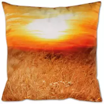 Чехол на подушку Bestlivings