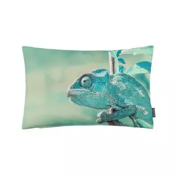 Чехол на подушку Cameleon, 30х50 см, фотопринт зеленый, наполнитель: утиные перья Proflax