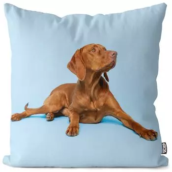 Чехол на подушку для венгерской легавой VOID, полиэстер, водонепроницаемая подушка для улицы и дома. Размер: 80 x 80 см.