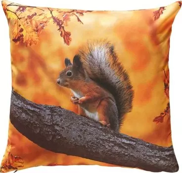 Чехол на подушку Erwin Mller, 50x1x50 см цвет eichhrnchen