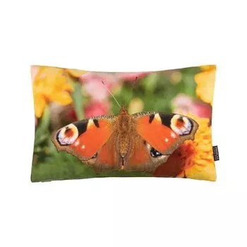 Чехол на подушку Феникс, 27х43 см, фотопринт бабочка, наполнитель подушки: нет Proflax