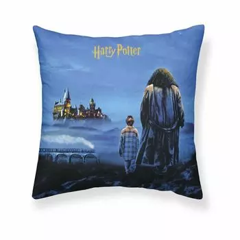 Чехол на подушку Гарри Поттер Философский камень 50 х 50 см Harry Potter Shop