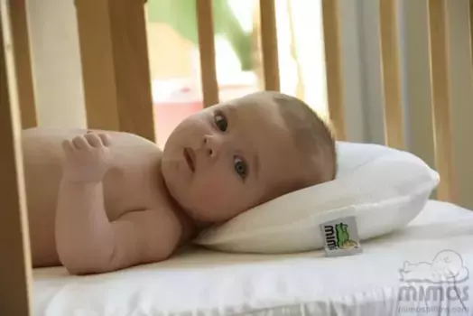 Чехол на подушку Mimos