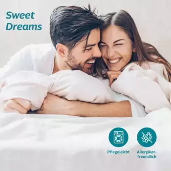 Чехол на подушку мой дом "DESNER2", (2 шт.), двусторонний чехол на подушку My home 40х40 см, цвет anthrazit/silber