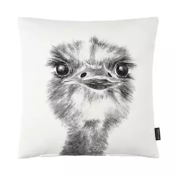 Чехол на подушку Тирана, 40х40 см, фотопринт головы страуса, наполнитель: без Proflax