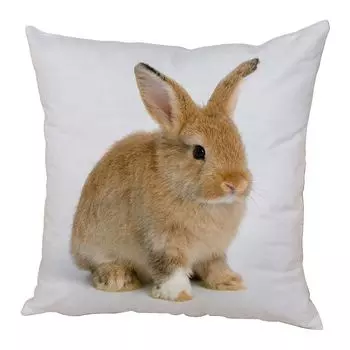 Чехол на подушку, удобная потайная молния, наволочка с кроликом, наволочка для спальни, новогодний декор для домашнего постельного белья-D Stuttg