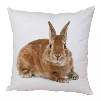 Чехол на подушку, удобная потайная молния, наволочка с кроликом, наволочка для спальни, новогодний декор для домашнего постельного белья-L Stuttg