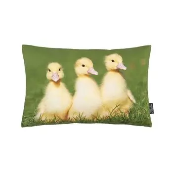 Чехол на подушку Утрехт, 27х43 см, фотопринт утята, наполнитель: без Proflax