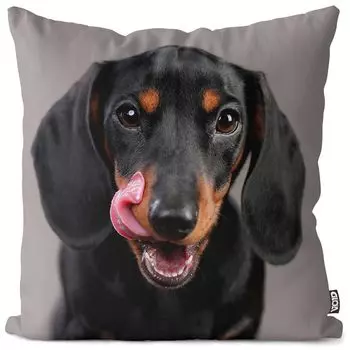 Чехол на подушку VOID для таксы, полиэстер, водонепроницаемая подушка для улицы и дома. Размер: 80 x 80 см.