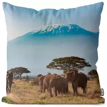Чехол на подушку VOID Elephants Steppe Africa Полиэстер Водонепроницаемая подушка для улицы и дома Размер: 80 x 80 см