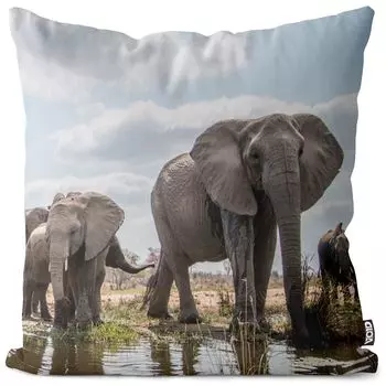 Чехол на подушку VOID Elephants Water Steppe, полиэстер, водонепроницаемая подушка для улицы и дома. Размер: 60 x 60 см.