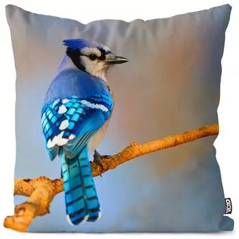 Чехол на подушку VOID Jay Bird Nature, полиэстер, водонепроницаемая подушка для улицы и дома. Размер: 60 x 60 см.