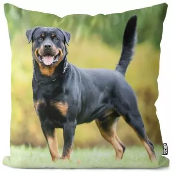 Чехол на подушку VOID Rottweiler, чехол из полиэстера, водонепроницаемый, для улицы и дома, размер подушки: 80 x 80 см