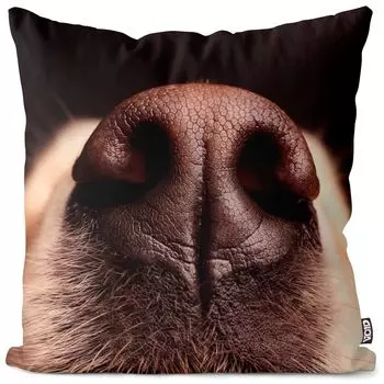 Чехол на подушку VOID с золотистым ретривером и мордой, полиэстер, водонепроницаемая подушка для улицы и дома. Размер: 80 x 80 см.