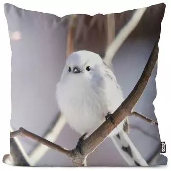 Чехол на подушку VOID White Sparrow Songbird, полиэстер, водонепроницаемая подушка для улицы и дома. Размер: 60 x 60 см.