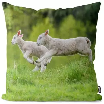 Чехол на подушку VOID Young Lambs, полиэстер, водонепроницаемая подушка для улицы и дома. Размер: 60 x 60 см.