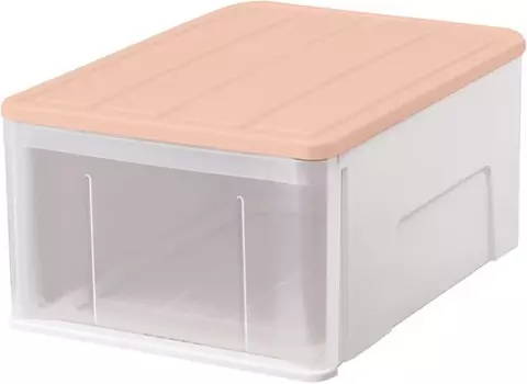 Чемодан для хранения Tenma, идеально подходящий для шкафов и гардеробных, экологический футляр, футляр для костюмов, размер 116,3 фута (55 м), цвет «Розовый мох», (ширина 15,7 x глубина 21,7 x высота 9,8 дюйма (40 x 55 x 25 см), Moss Pink