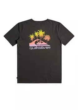 Черная мужская футболка с круглым вырезом Quiksilver