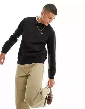 Черная толстовка с маленьким логотипом Dickies Oakport