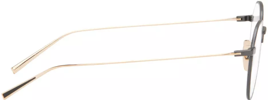 Черно-золотые очки Artoa.82 Dita